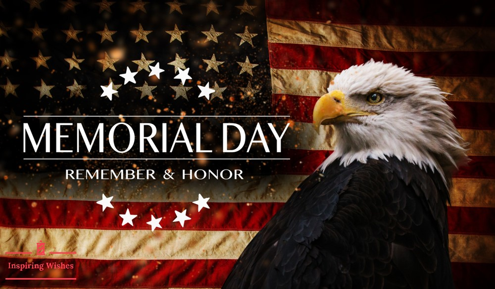 ASK ABOUT OUR MEMORIAL SPECIAL!  ASK ABOUT OUR MEMORIAL SPECIAL! SCHEDULE YOUR APPOINTMENT TODAY! 208-704-2221 D R O N E I N S P E C T I O N G U T T E R C L E A N I N G
